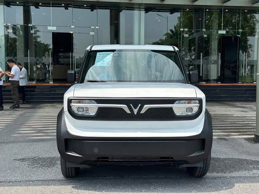 z6469344763170 3919725b85610e1f4b7784aadbfce07e VinFast VF3