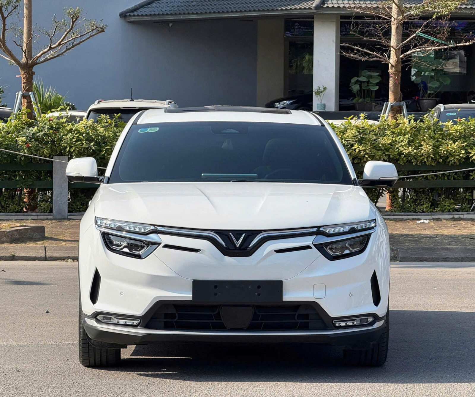 z6468437326222_ae52601734f5da353986e09a7bcbf795