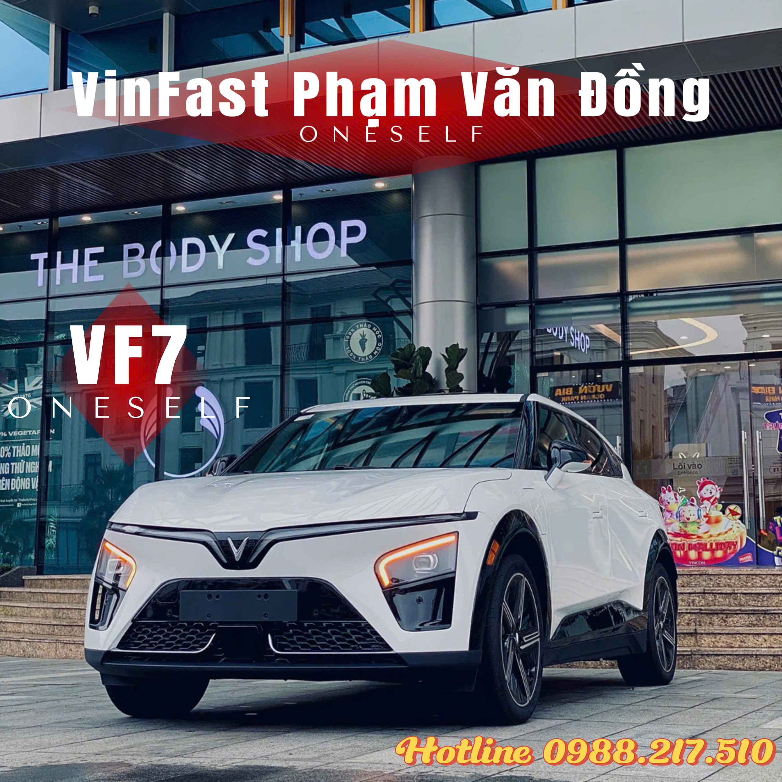 z6115550031514_cf317068d05d2fc4b022b3d07c650488